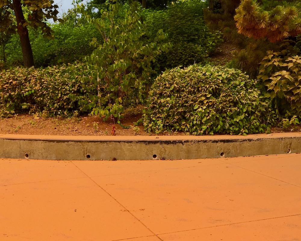 public outdoor area covered in orange dust