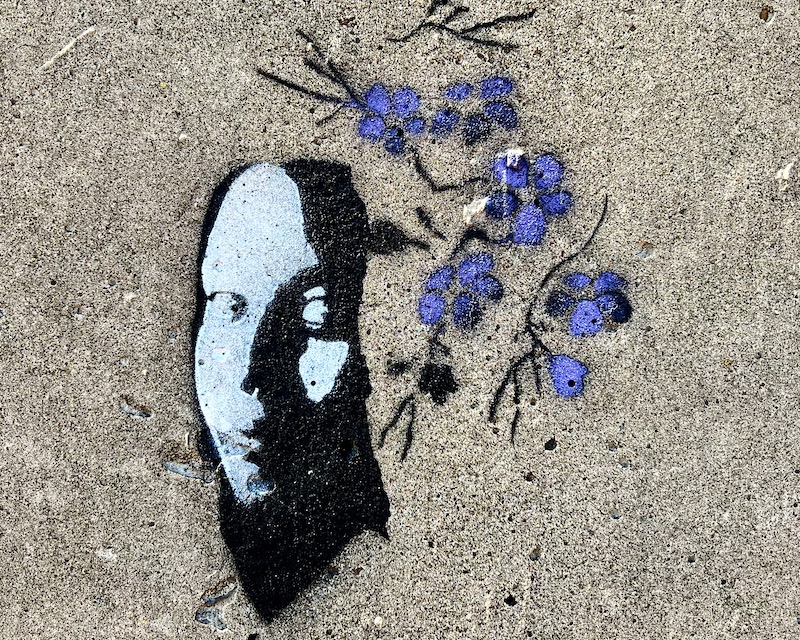 stencil image of woman's face and grapes on vine